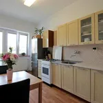 Rent 1 bedroom apartment of 48 m² in Brno