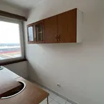 Rent 1 bedroom apartment of 22 m² in Ostrava