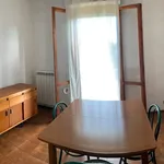 Rent 1 bedroom apartment of 60 m² in Pisa