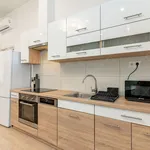 Rent 1 bedroom apartment of 45 m² in Budapest