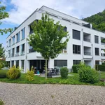 Moderne 3 1/2-Zimmer Attikawohnung in Liestal gesucht? | Emeria