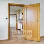 Rent 3 bedroom apartment of 72 m² in Ústí nad Labem