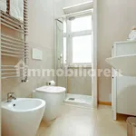 Rent 1 bedroom apartment of 40 m² in Turin