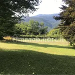 Rent 5 bedroom house of 418 m² in Trento