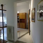 Rent 2 bedroom apartment of 58 m² in San Giovanni Valdarno