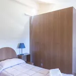 Rent 2 bedroom apartment of 75 m² in rome