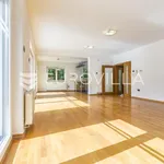 Rent 5 bedroom house of 300 m² in Zagreb