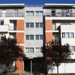 Rent 2 bedroom apartment of 49 m² in Créteil