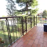 Rent 3 bedroom apartment of 85 m² in Roncoferraro