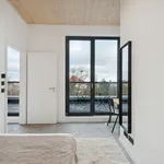 Rent 6 bedroom apartment of 10 m² in Berlin