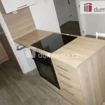 Rent 2 bedroom apartment of 38 m² in Břeclav