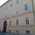 Miete 3 Schlafzimmer wohnung von 89 m² in Graz