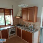 Appartamento arredato con terrazzo Centro