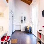 Rent 1 bedroom apartment of 40 m² in Milano