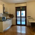 Rent 1 bedroom apartment of 30 m² in Novara