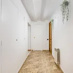 Alquilar 5 dormitorio apartamento en Barcelona