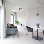 Rent 1 bedroom apartment in Hasselt