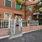 Rent 2 bedroom apartment of 45 m² in Rome