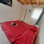 Rent a room of 21 m² in Albufeira