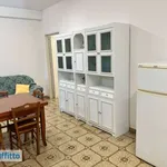 Appartamento arredato con terrazzo Centro