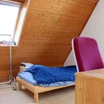 Rent a room of 230 m² in berlin