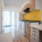 Rent 1 bedroom apartment in Brno