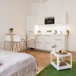 Rent 1 bedroom apartment in Praha 7