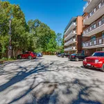 Rent 1 bedroom apartment in Burlington