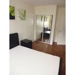 Rent 1 bedroom flat in kent