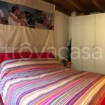 Rent 3 bedroom apartment of 70 m² in Bologna