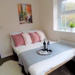 Rent 1 bedroom apartment in Coventry