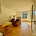 Rent 1 bedroom apartment of 45 m² in Brno