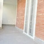 Rent 3 bedroom apartment of 90 m² in Nettuno