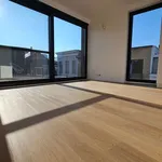 Rent 2 bedroom apartment in Antwerpen