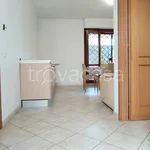 Rent 3 bedroom apartment of 88 m² in Monterotondo