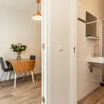 Huur 1 slaapkamer appartement van 377 m² in Rotterdam