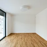 Rent 5 bedroom house of 217 m² in Capital City of Prague