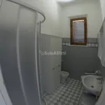 Rent 3 bedroom apartment of 60 m² in Siena