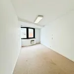 Rent 4 bedroom apartment in Bruxelles