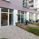 Rent 1 bedroom apartment of 50 m² in berlin