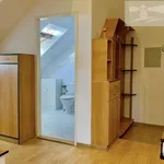 Rent 4 bedroom apartment of 189 m² in Capital City of Prague