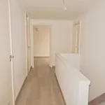 Rent 4 bedroom house in Plettinckplaats