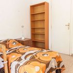 Rent a room of 100 m² in Roma