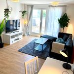 Rent 1 bedroom apartment of 42 m² in Dresden