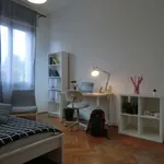 Rent a room in padua