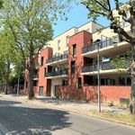 Rent 3 bedroom apartment of 63 m² in Armentières