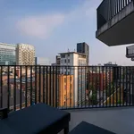 Rent 1 bedroom apartment in Antwerpen