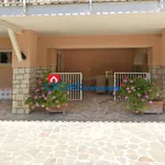 Rent 2 bedroom apartment of 50 m² in San Felice Circeo