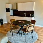 apartment for rent at Bredaseweg, Netherlands