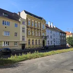 Rent 4 bedroom apartment of 116 m² in Litoměřice